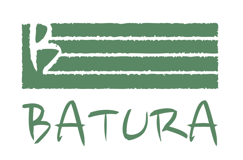 Ciclo Batura